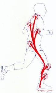 choix chaussure sport