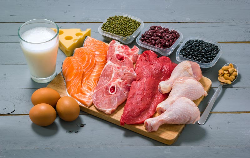 chrononution 4 repas par jour et des proteines